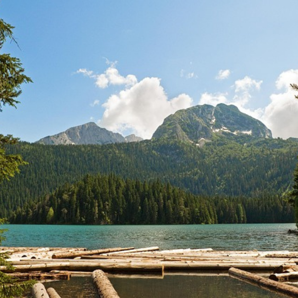 Žabljak